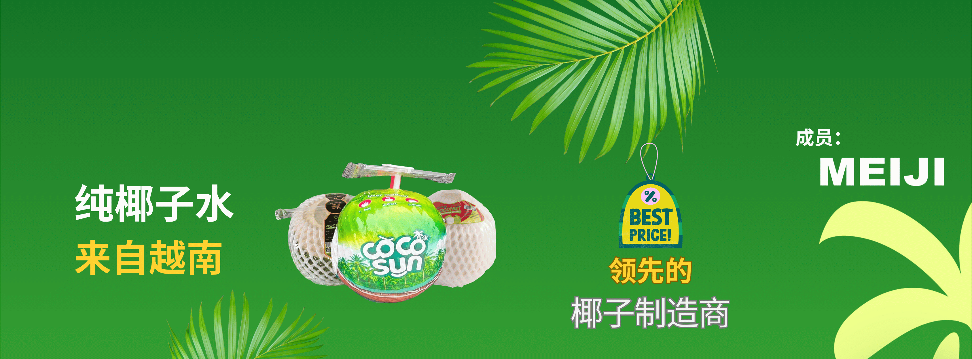 Coco Sun Asia Fruit Logistica