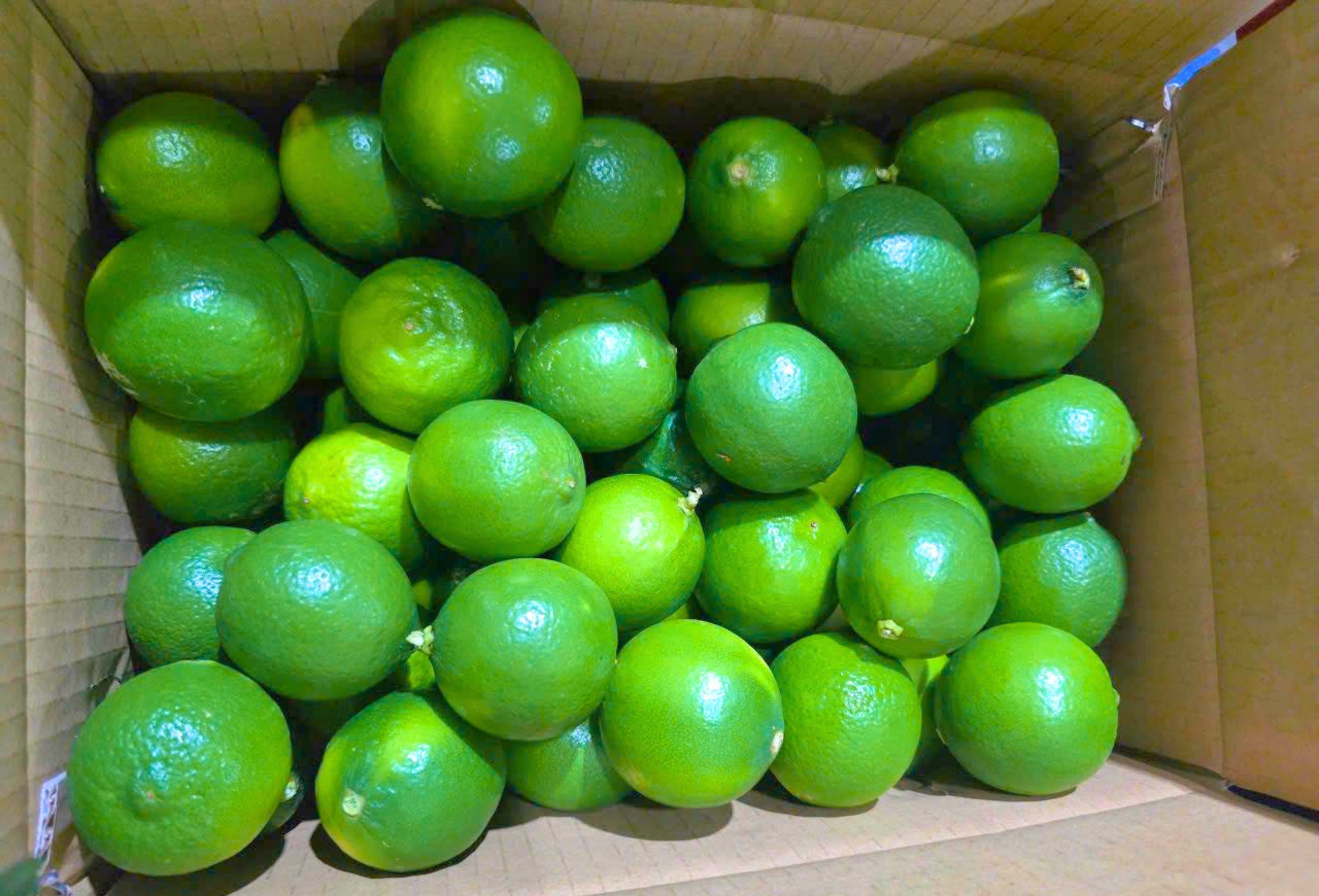 lime