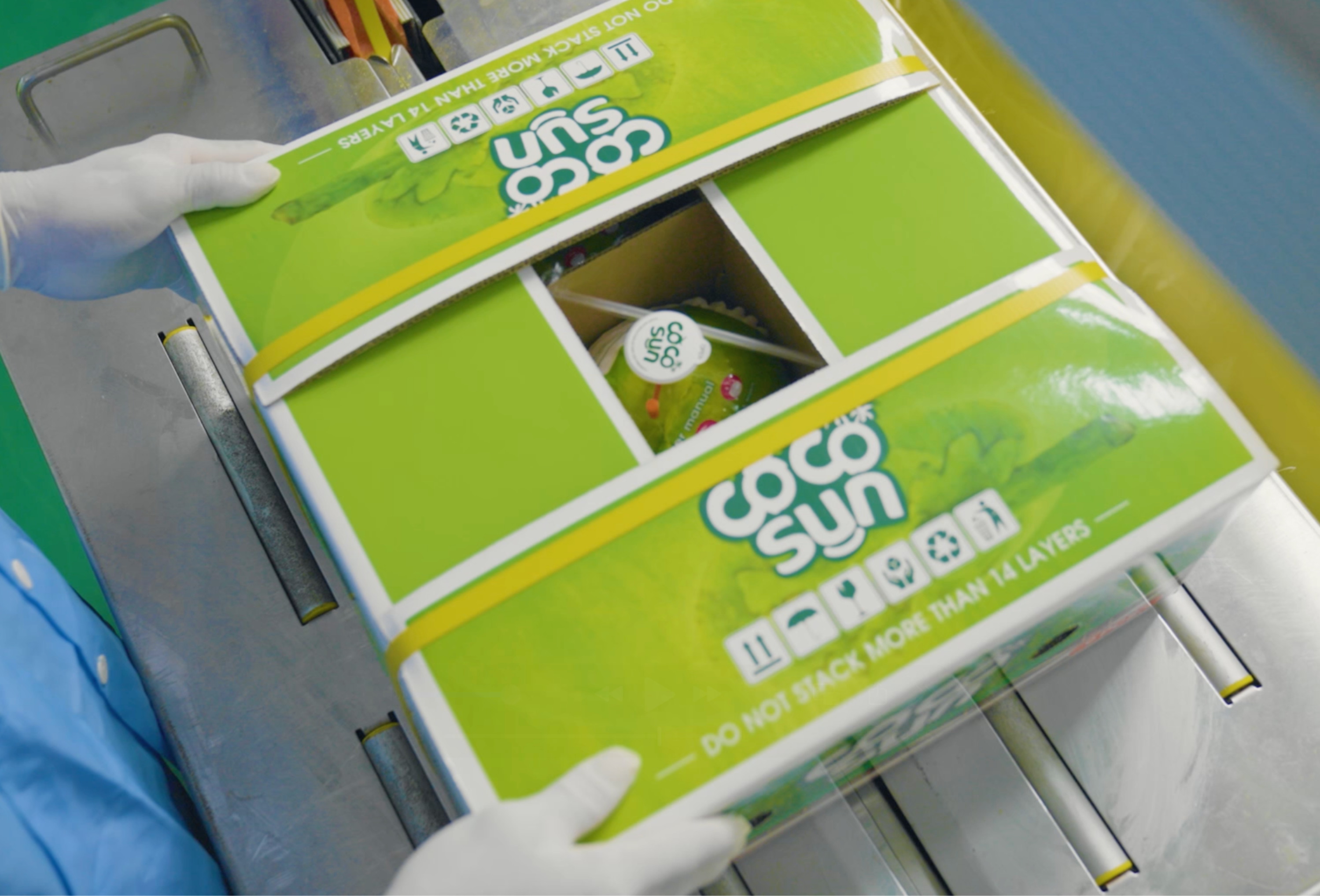 VietSun Holdings Fresh Coconut