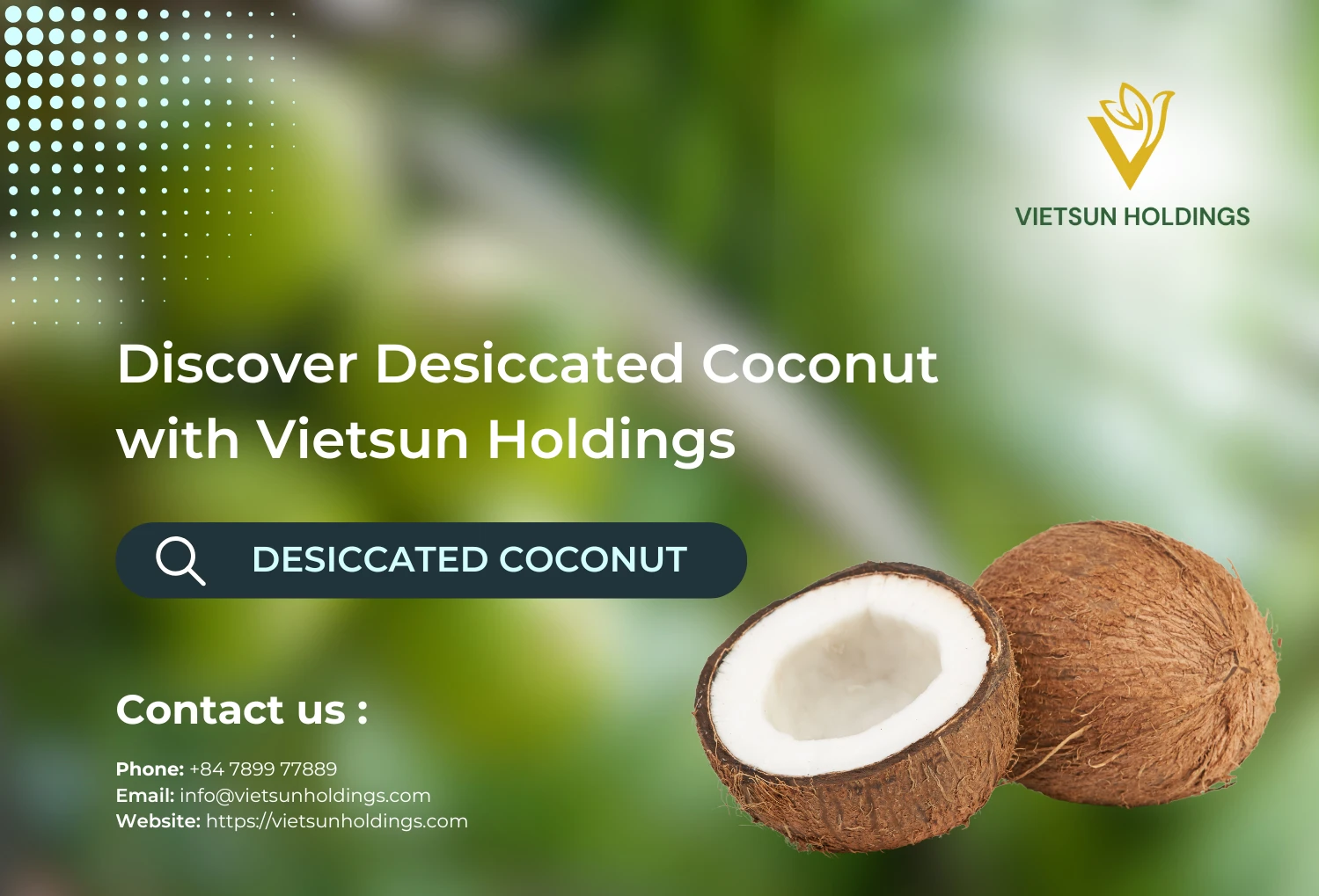 Guide to Coconut: From Shredded to Desiccated for Global Buyers