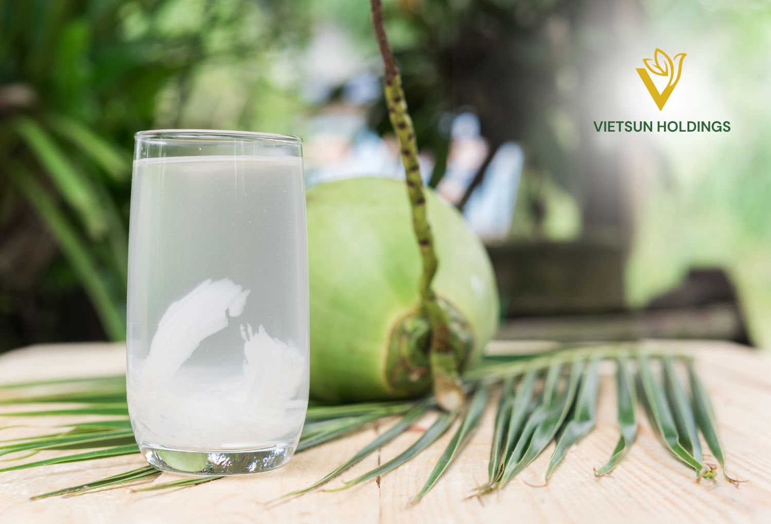 Diamond Coconut Water: Premium Fresh Young Coconuts from Vietnam | Refreshing & Healthy