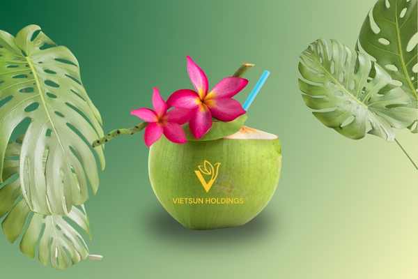 The Journey of Fresh Coconut: From Farm to Supermarket Shelf