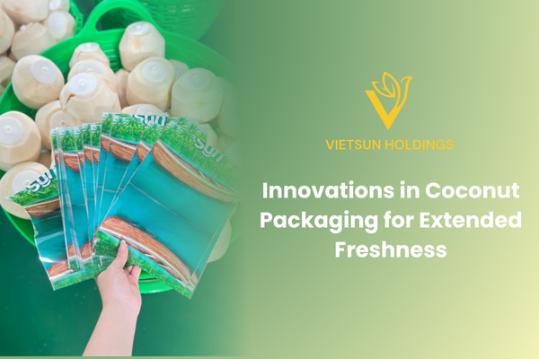 椰子包装创新技术：延长新鲜度 | Innovations in Coconut Packaging for Extended Freshness