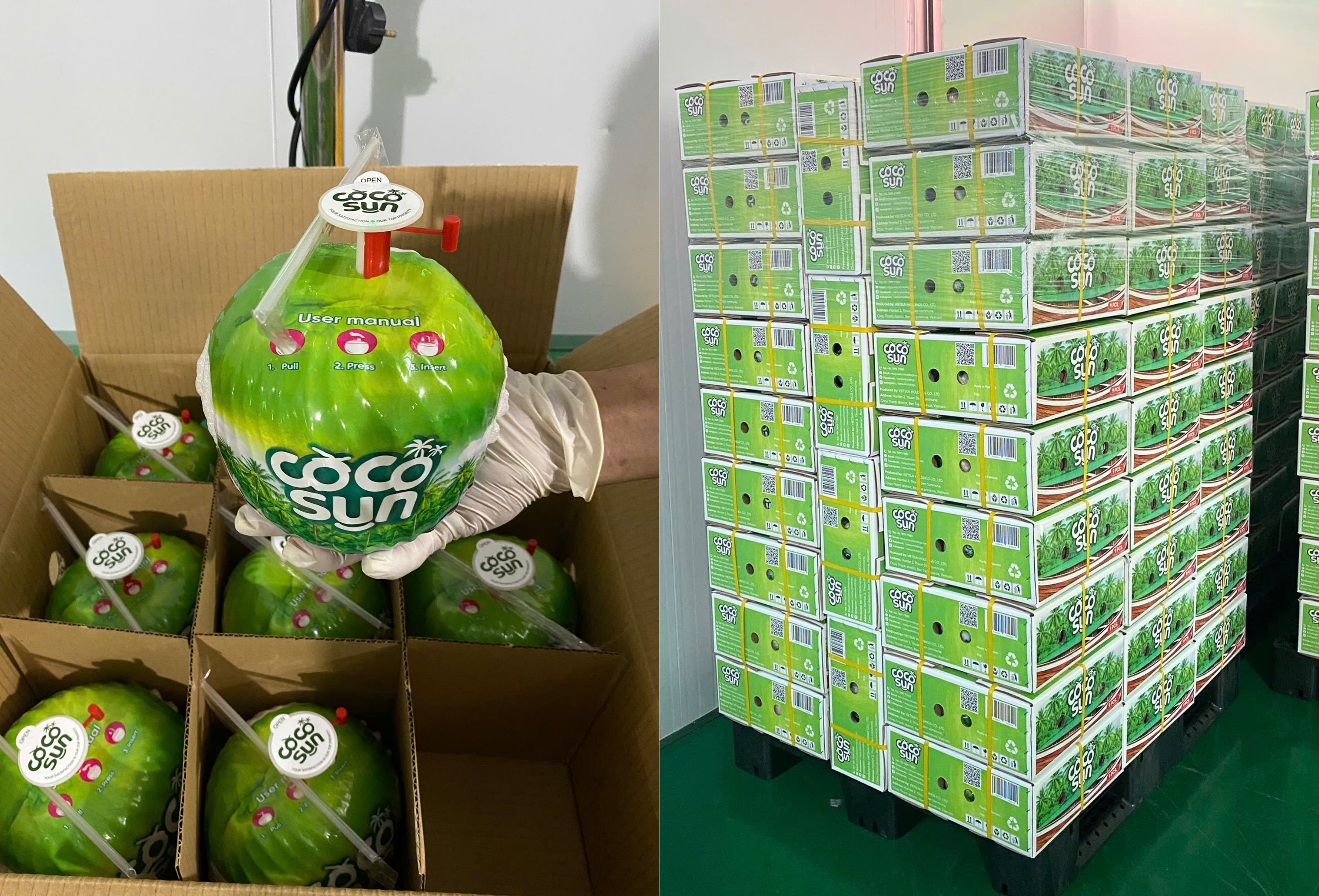 Coco Sun 新鲜嫩椰子