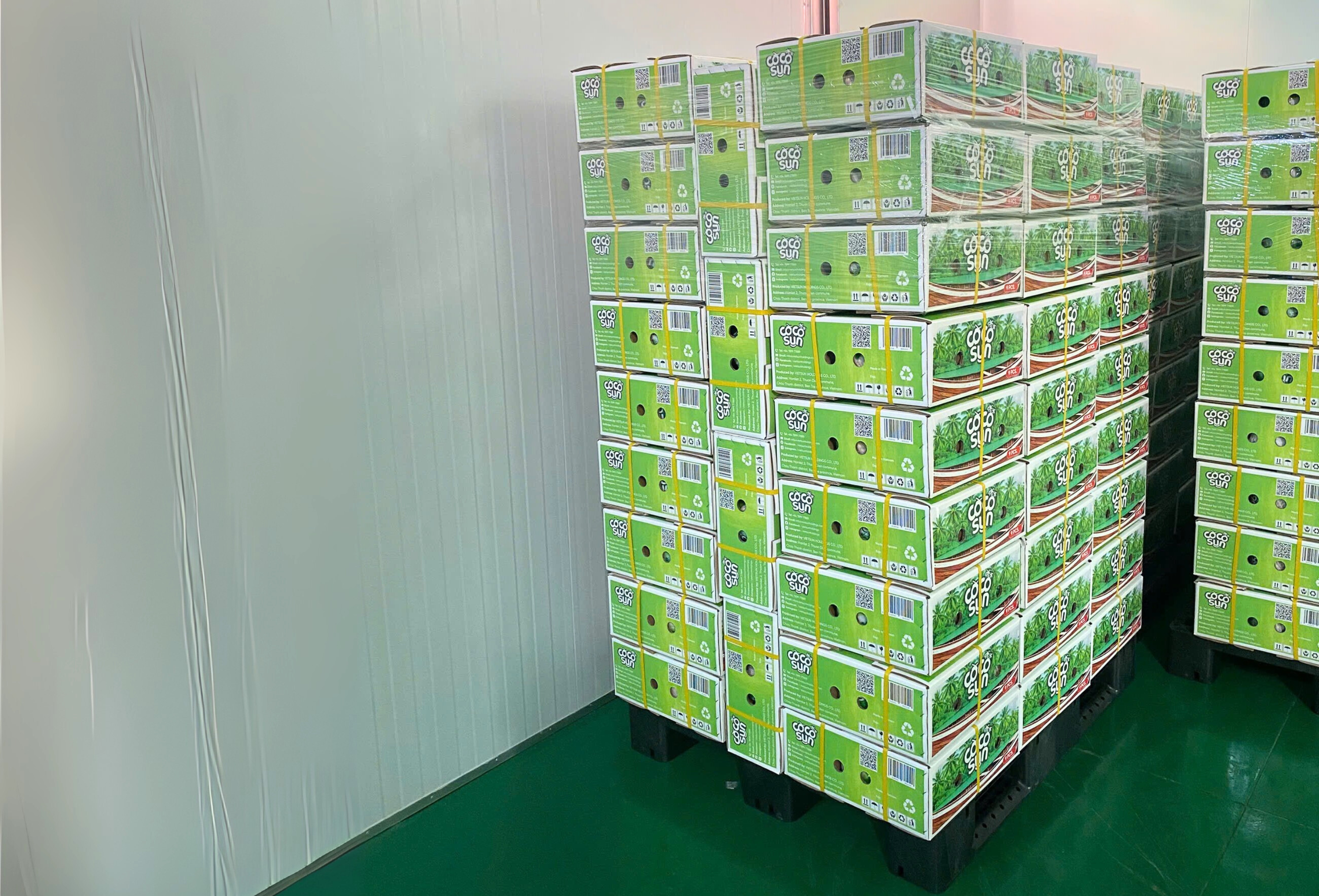 Coco Sun 新鲜嫩椰子